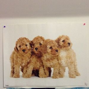 Both of these cute posters