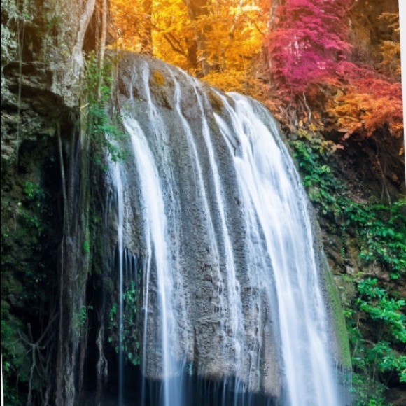 Meet the Posher - Picture 4 of 4