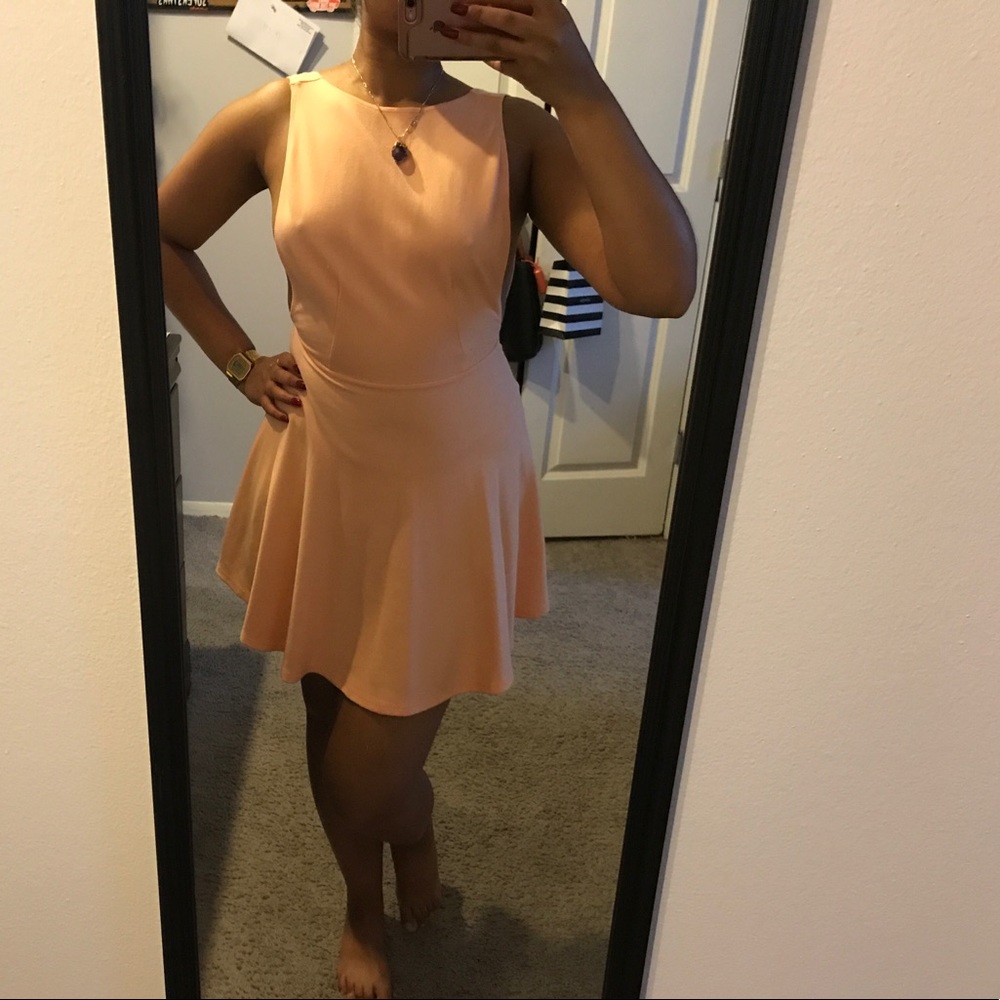 American Apparel Peach Skater Dress