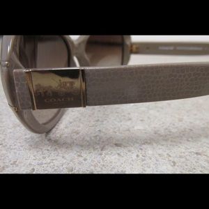 Coach Blaine Sunglasses in Sepia
