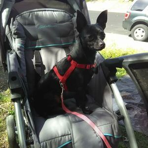 Meet your Posher, Michelle