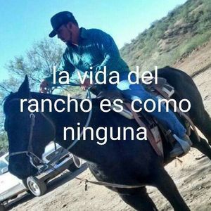 Meet your Posher, Sergio