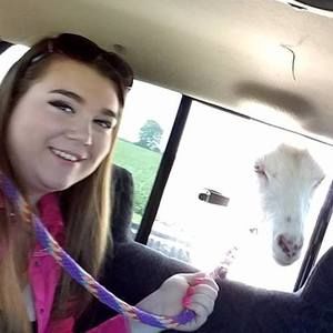 Meet your Posher, Ashley