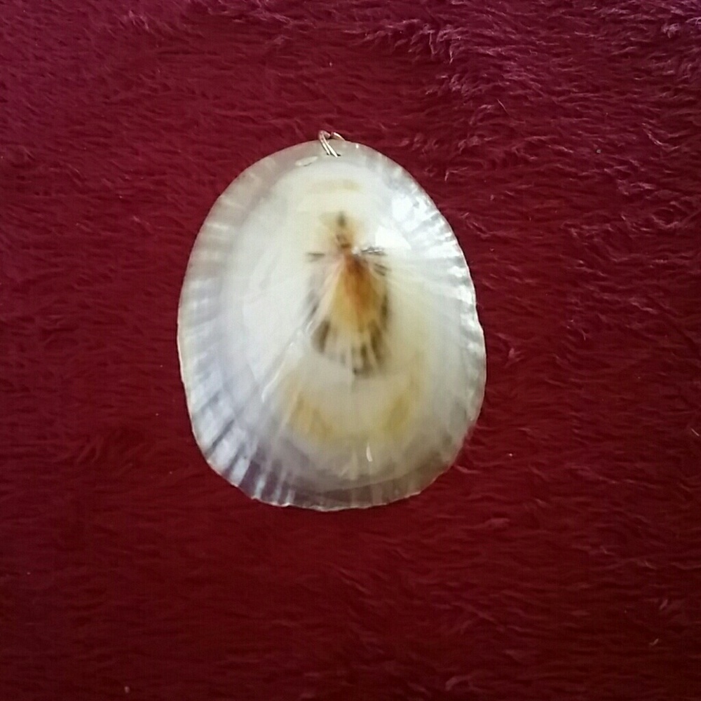 FREE w/another purchase. Pendant, shell