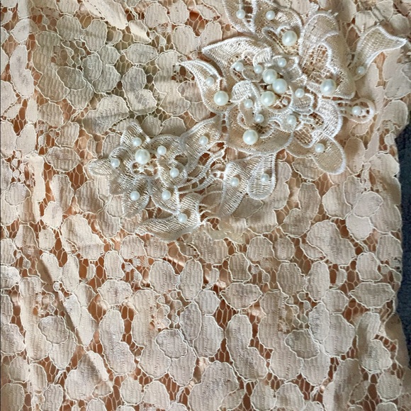 S O L D Pretty Lace and Chiffon Dress - Picture 5 of 8