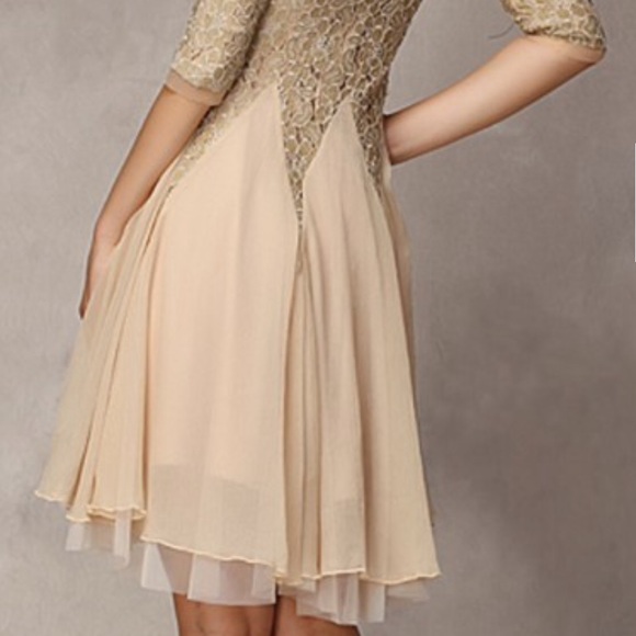 S O L D Pretty Lace and Chiffon Dress - Picture 2 of 8