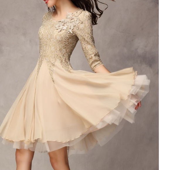 S O L D Pretty Lace and Chiffon Dress - Picture 3 of 8