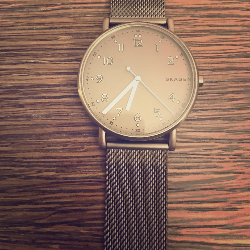 Skagen Watch