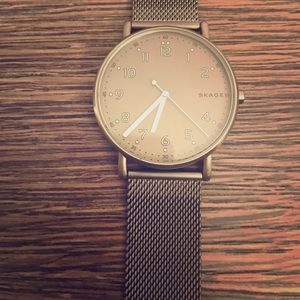 Skagen Watch