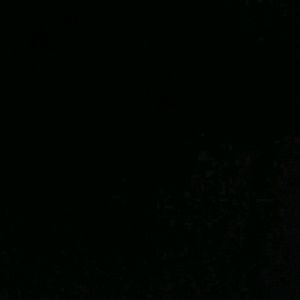 Meet your Posher, Bianca