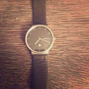 Skagen Men Watch