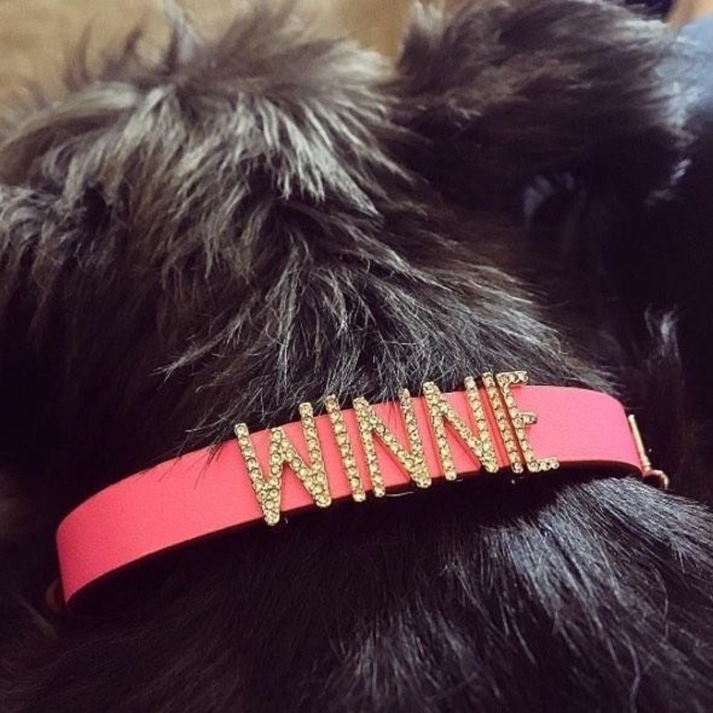 Custom leather pet collars!!! out of stock soon!