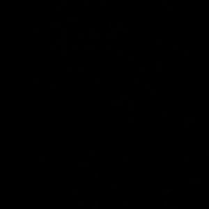 Meet your Posher, Pedro