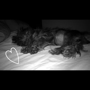 Meet your Posher, Emma