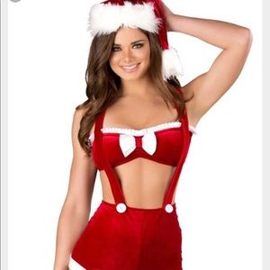 Ms.Claus Costume