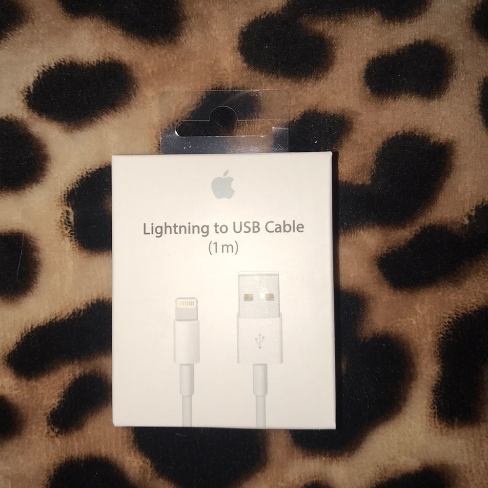 Apple charger