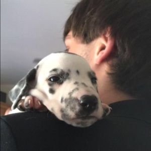 Meet your Posher, Vern