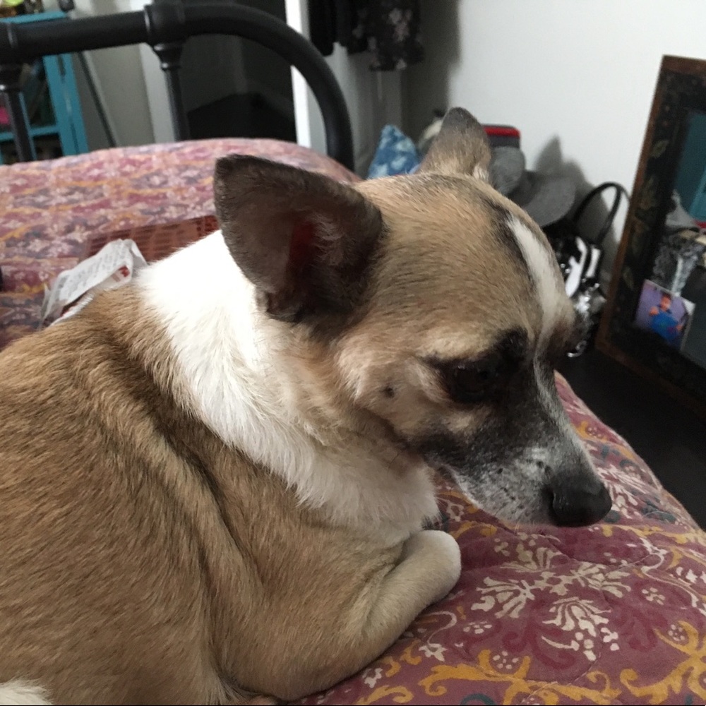 Meet your Posher, Vikki