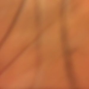 Meet your Posher, Bobby