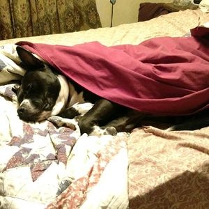 Meet your Posher, Reba