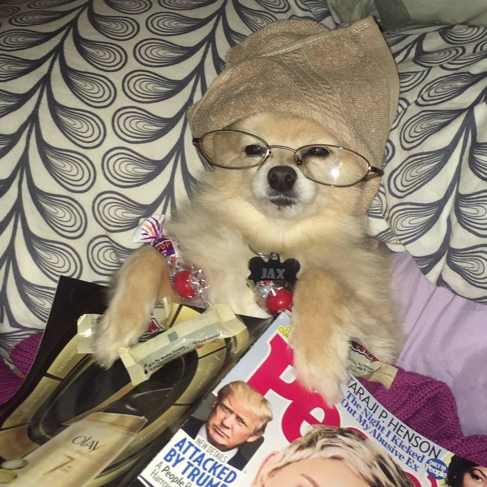 Meet your Posher, Kimberly