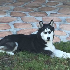 Meet your Posher, Luis