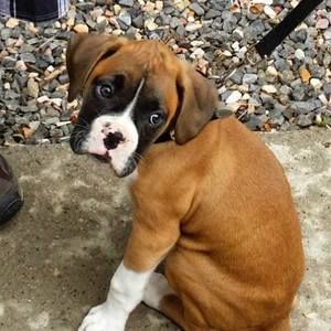 Meet your Posher, Barbara