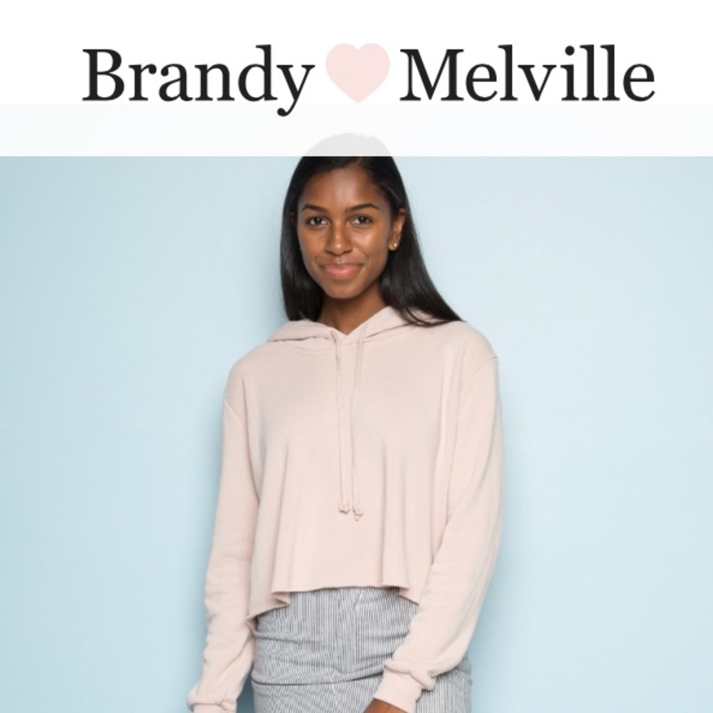 Brandy Melville Crop Sweatshirt
