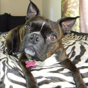 Meet your Posher, Pat