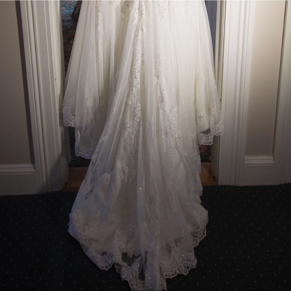 Maggie Sorttero Eleanor j1524 wedding dress - Picture 3 of 8