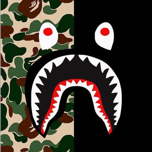 Meet your Posher, Brayde - Picture 1 of 1