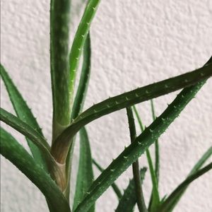 Meet your Posher, June