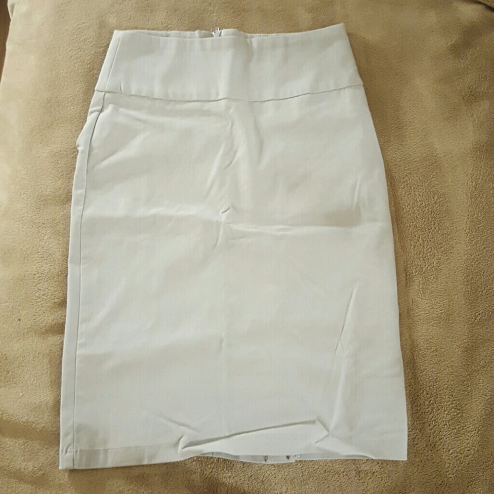 Light grey business Style skirt