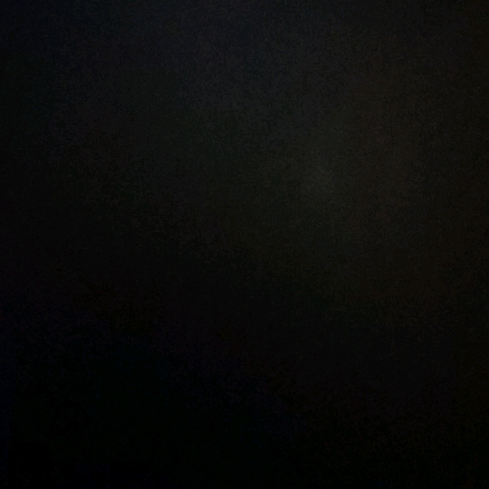 Meet your Posher, Brannon