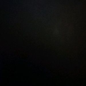 Meet your Posher, Brannon