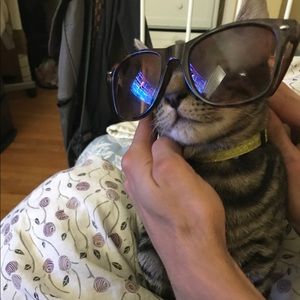 Meet your Posher, Angie