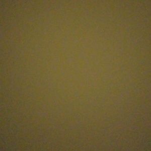 Meet your Posher, Shanon