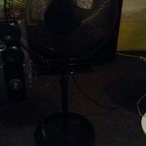 Meet your Posher, Willie