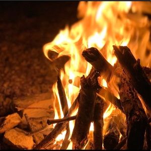 Meet your Posher, Jake