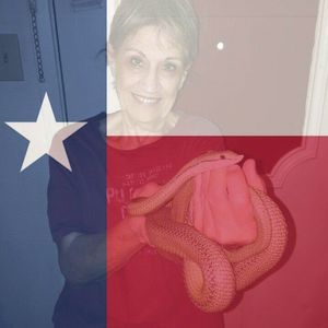 Meet your Posher, Jeanie