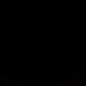 Meet your Posher, Rene