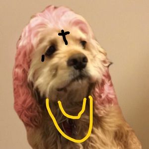 Meet your Posher, Donny