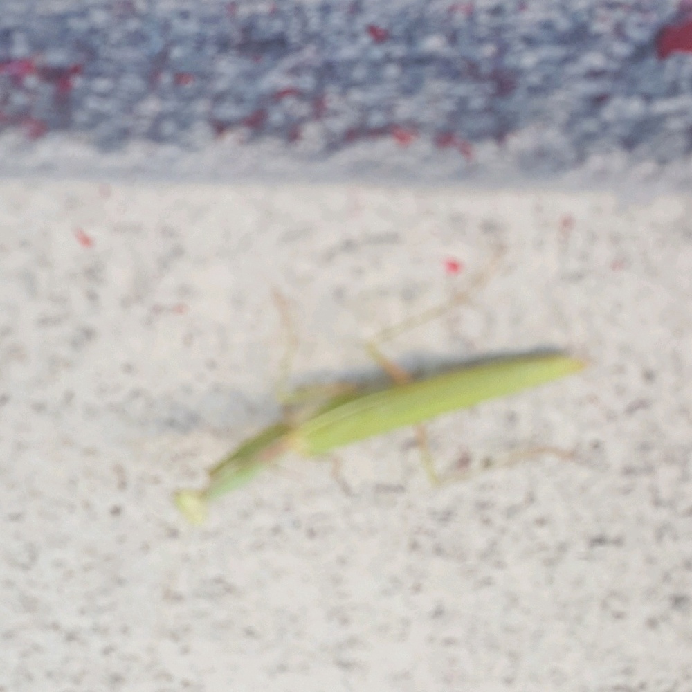 Meet your Posher, Fabiana