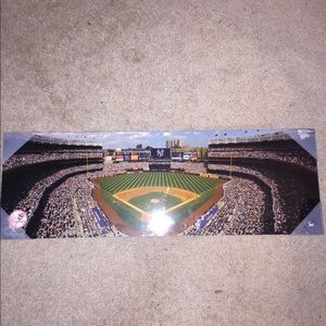 Yankees Panoramic Stadium Wall Hang