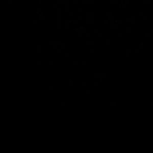 Meet your Posher, Ira