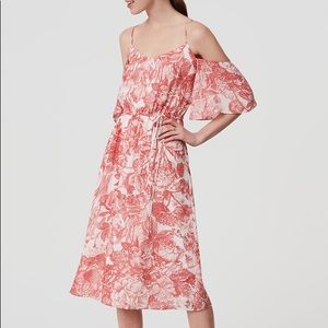 NWT LOFT Cold Shoulder Dress