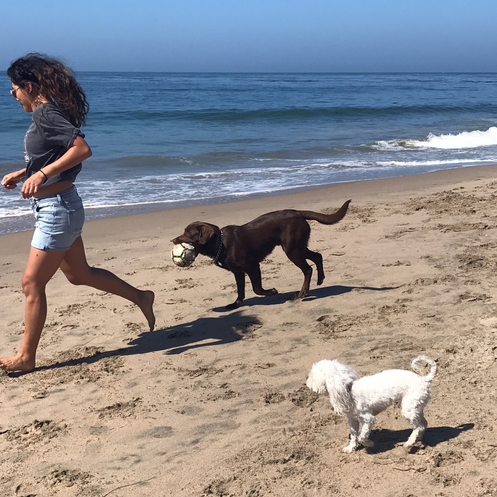 Meet your Posher, Briana