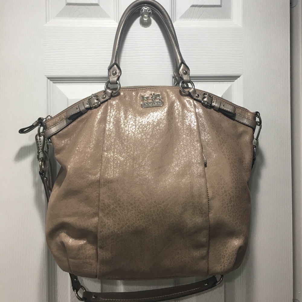 Metallic Coach Purse