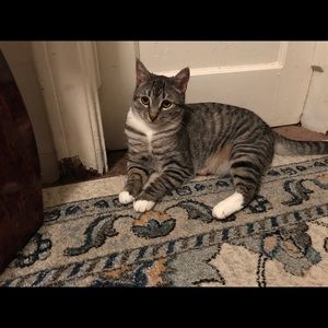 Meet your Posher, Melissa