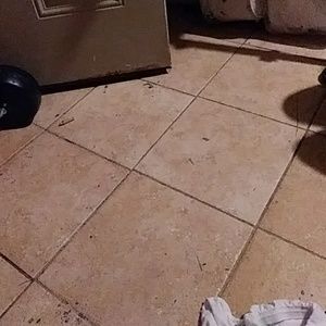 Meet your Posher, Joe